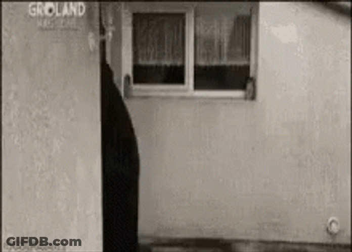 Dead Guy All Black Covered Car GIF
