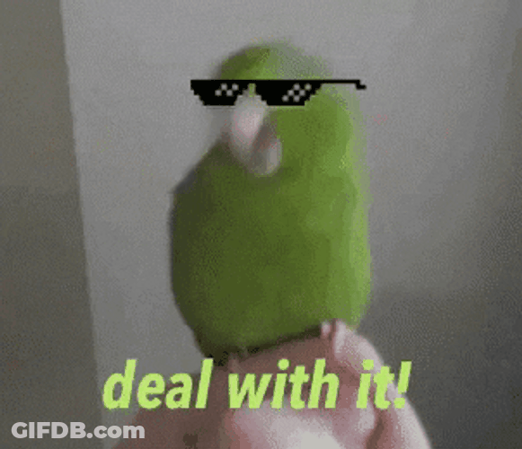 Deal With It Bird GIF