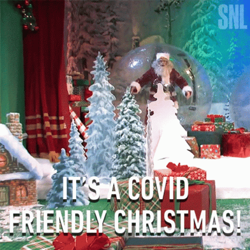 Deal With It Covid Meme GIF