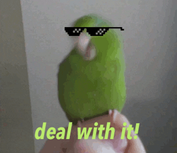 Deal With It World GIF
