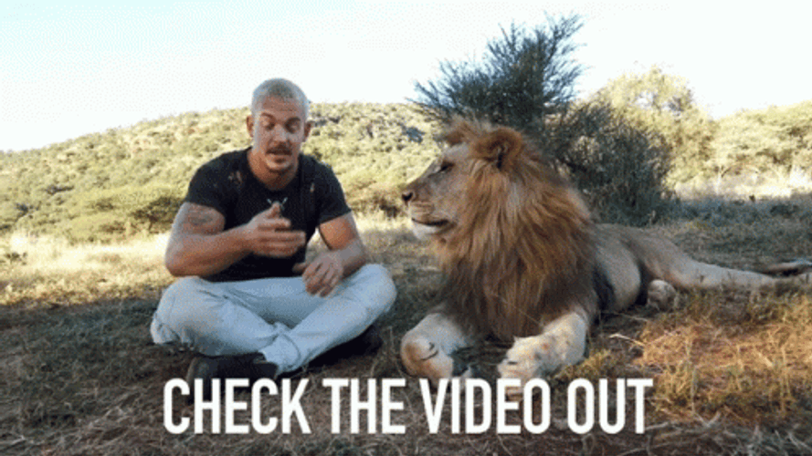 Dean Schneider Video Spiel GIF