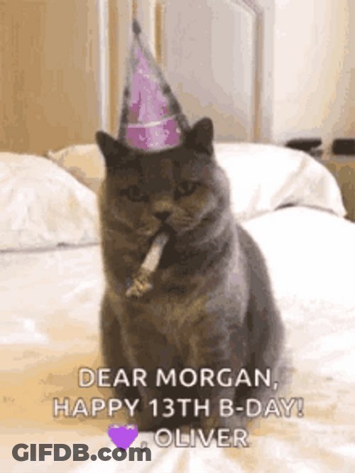 Dear Morgan Happy 13Th Birthday Cat Blowing GIF