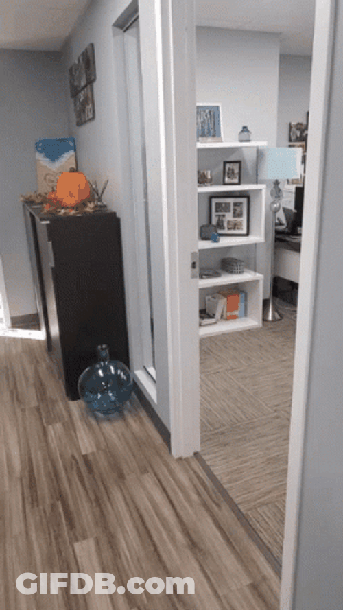 Debbie Bell Ringing GIF