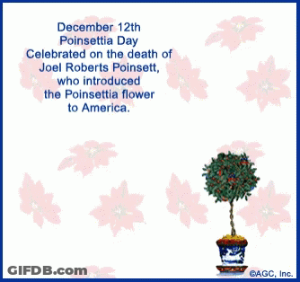 December 12Th Poinsettia Day Is Celebrated On The Death Of Joel Roberts Poinsett GIF