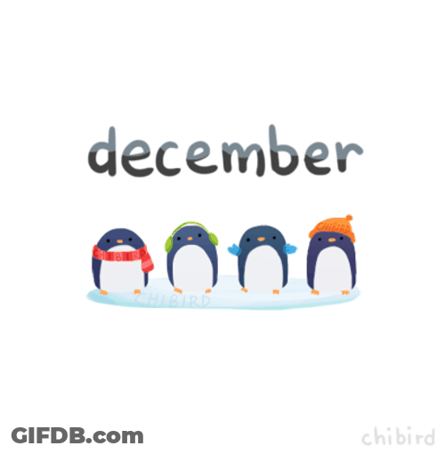 December Penguins On Ice GIF