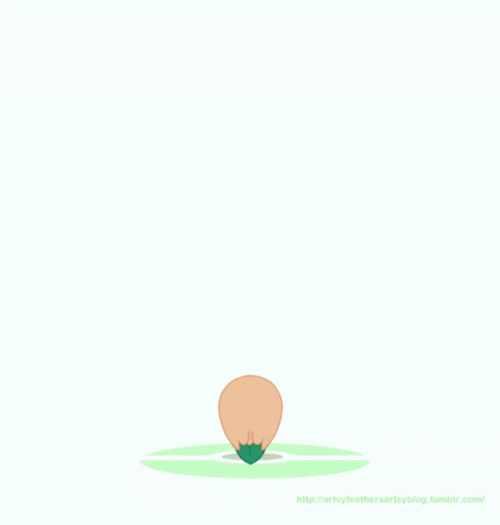 Decidueye Pokemon Evolution GIF
