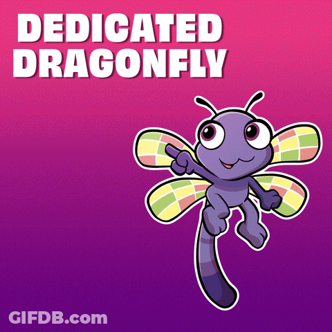 Dedicated Dragonfly GIF