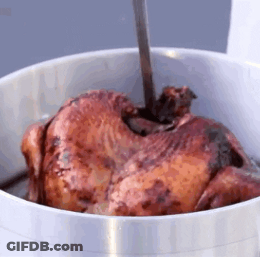Deep Fried Turkey Meme GIF