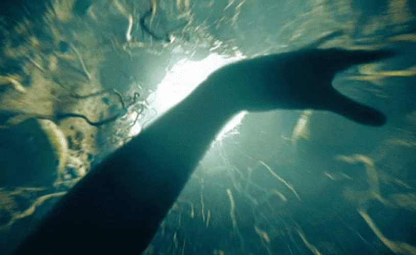 Deep Thrill Rabbit Hole GIF