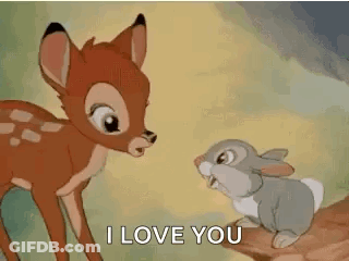 Deer And Rabbit On Tree Branch GIF