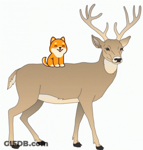 Deer And Shiba Inu GIF