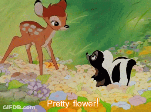Deer And Skunk In Flowers Saying Pretty Flower GIF