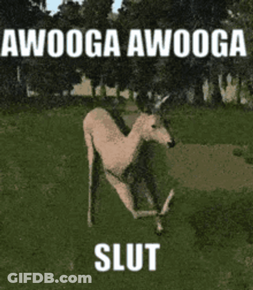 Deer Doing Awooga Gangnam Dance GIF