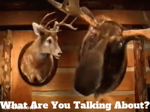 Deer Heads Hanging With What Are You Talking About GIF