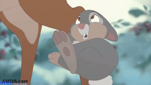 Deer Holding Cartoon Rabbit Redecanals GIF