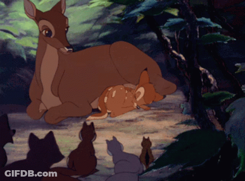 Deer Nursing Her Baby GIF