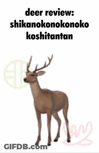 Deer Review GIF