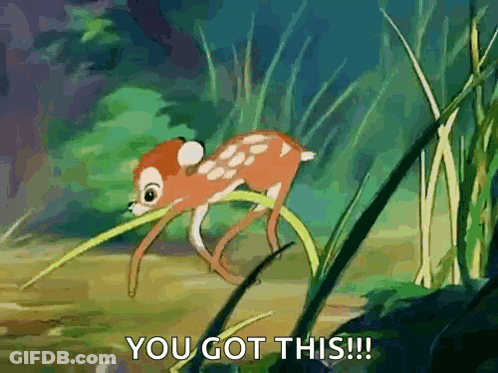 Deer Saying You Got This GIF