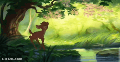 Deer Standing By River GIF