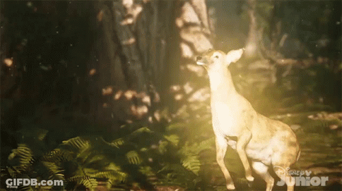 Deer Standing In Forest GIF
