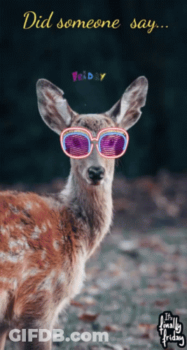 Deer Wearing Sunglasses Saying Did Someone Say Friday GIF