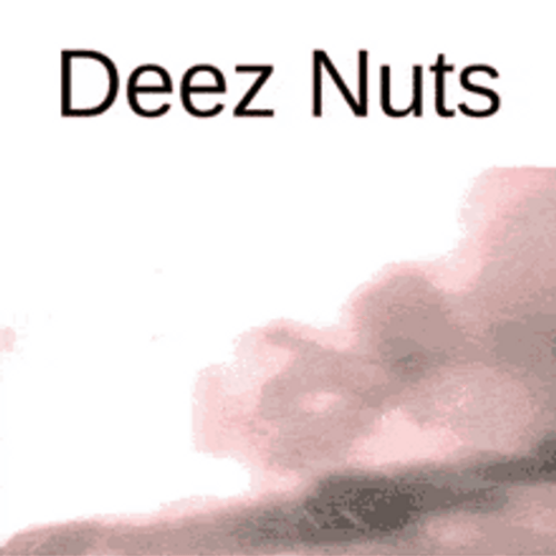 Deez Nuts Anime Explosion GIF