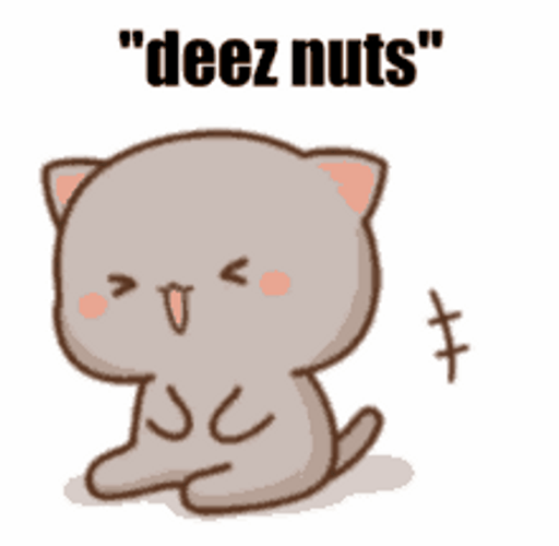 Deez Nuts Goma Cat Laugh GIF
