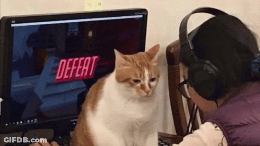 Defeated Ginger Cat Motionless GIF