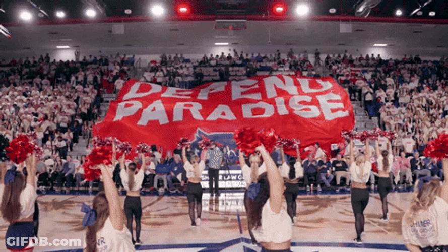 Defend Paradise Banner GIF