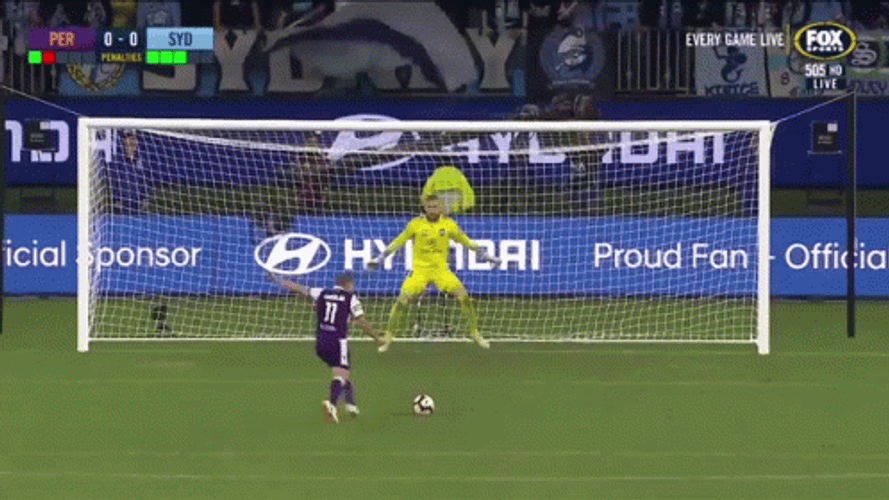Defended Penalty Kicks GIF