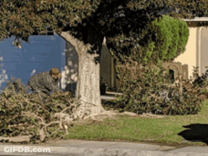 Deforestation Tree Cutting Into Pieces GIF