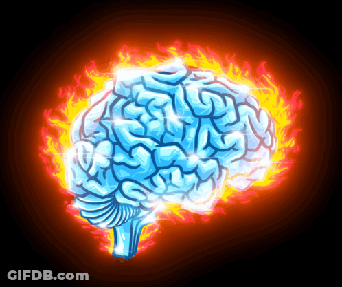Degenbrain Fire Degenbrains GIF
