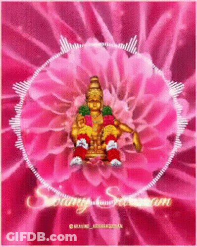 Deity Sitting On Pink Flower Amid Pink Flowers GIF