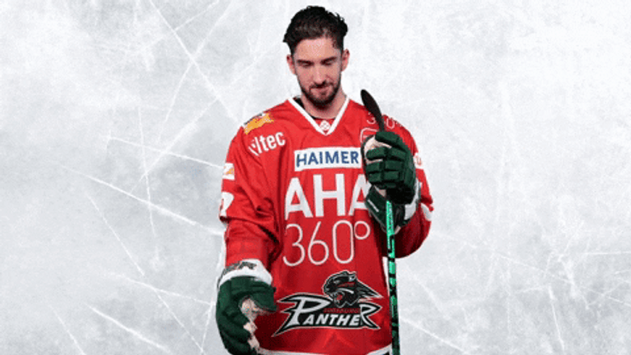 Del Augsburger Panther Ice Hockey Fake Shake Hand GIF