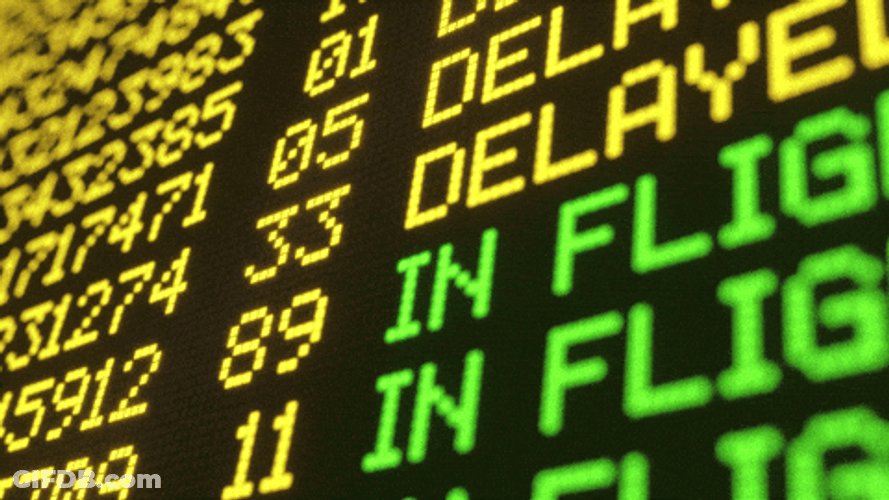 Delaty Flight Screen Loop GIF