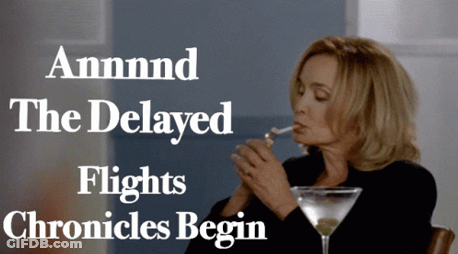 Delay Flight Chronicles GIF