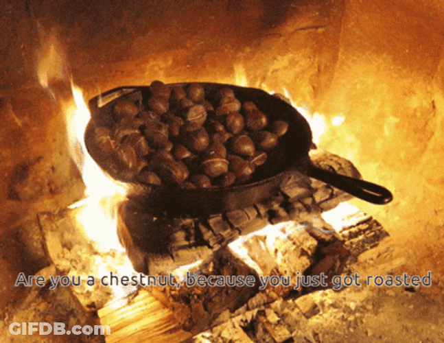 Delectable Roasted Chestnuts On Fire Pit GIF