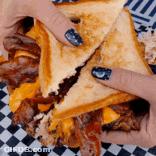 Delicious Pulled Beef Sandwich GIF