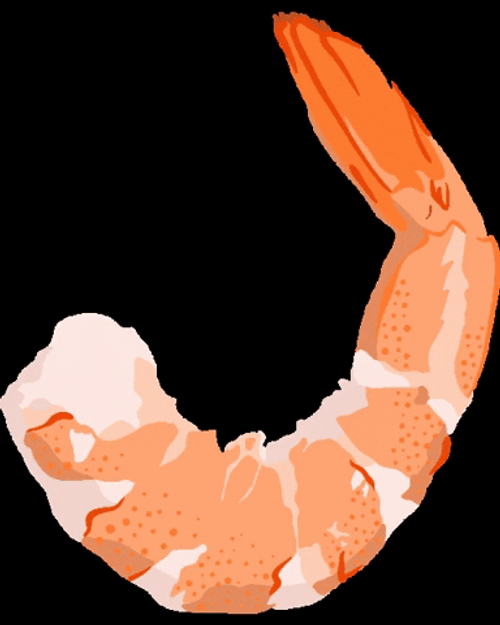 Delicious Shrimp Meat GIF