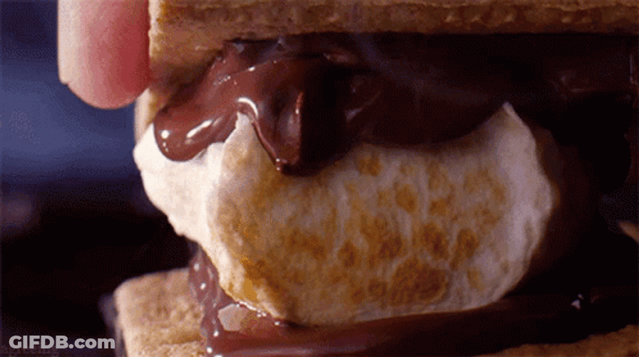 Delightful Chocolate Smores Smash GIF