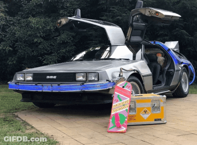 Delorean Parked With Doors Open GIF