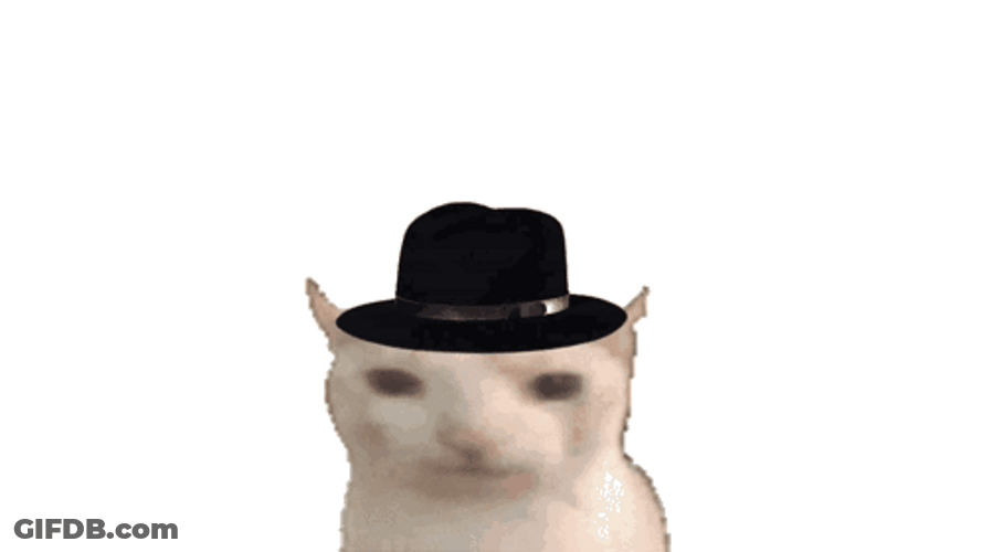 Deltarune Explosion Cat Wearing A Hat GIF