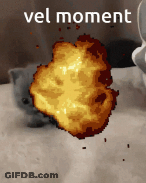 Deltarune Explosion Cute Small Gray Cat GIF