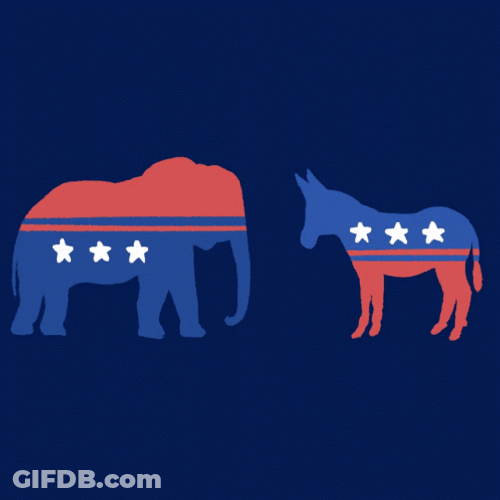 Democrats Unite USA Animated Illustration GIF