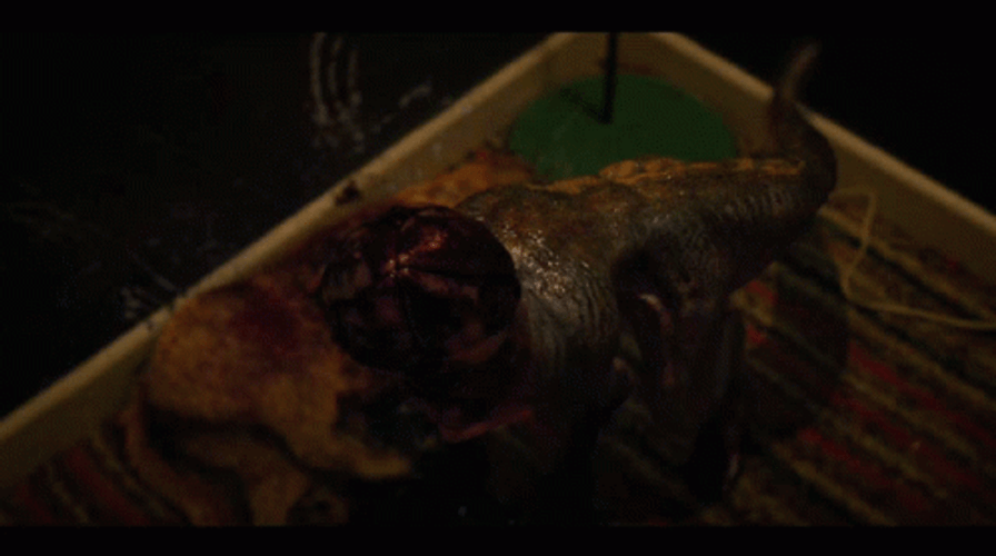 Demogorgon Dogs Gorgon GIF