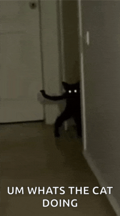 Demon Cat Meme GIF