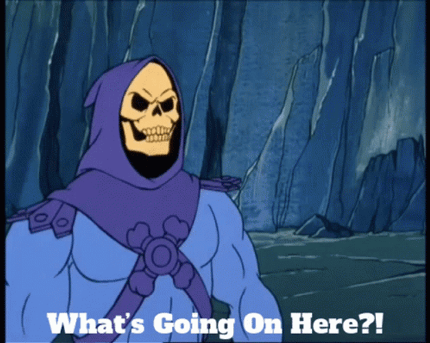 Demon Skeletor What's Going On Here GIF