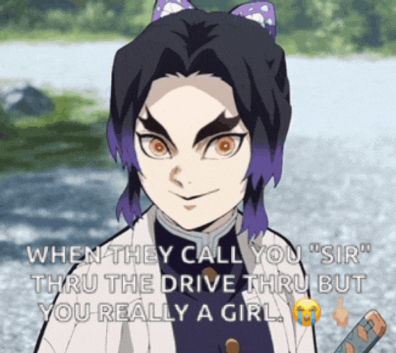 Demon Slayer Memes Demon Slayer Shinobu Meme GIF