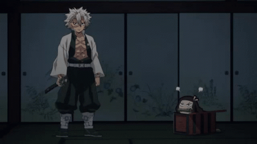 Demon Slayer Sanemi And Nezuko GIF