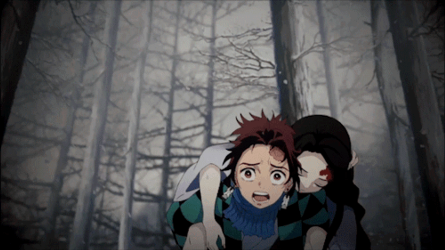 Demon Slayer Sibilings Tanjiro And Nezuko GIF